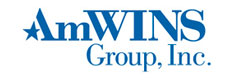 amwinscyber logo